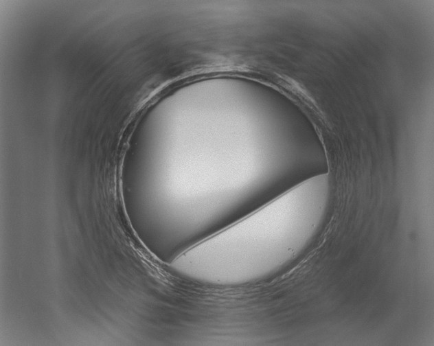 X0000052551220200507010836