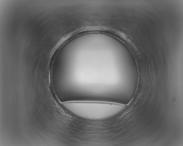 X0000052551221200507010836