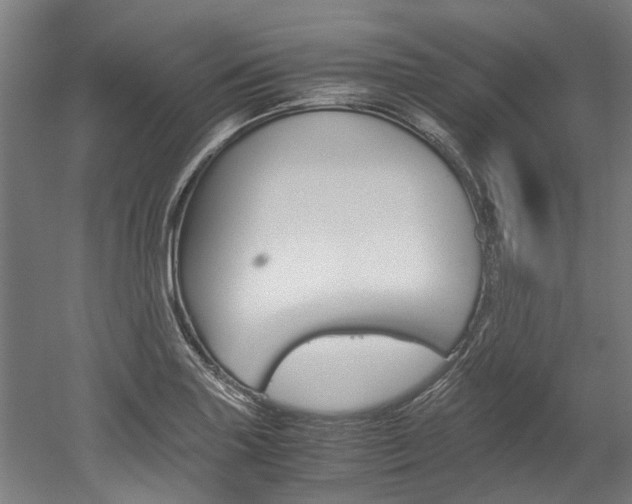 X0000052551227200507010836