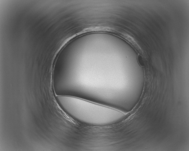 X0000052551228200507010836