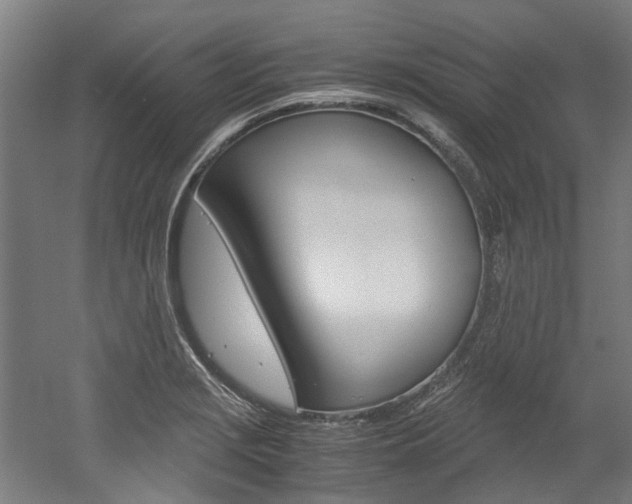 X0000052551229200507010836