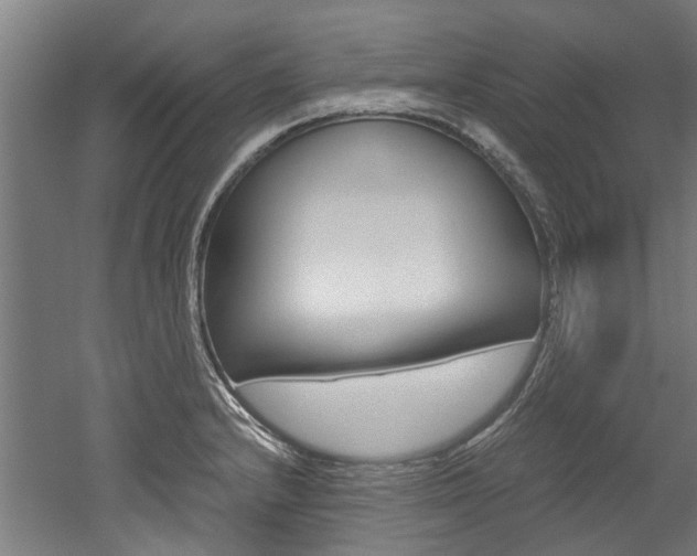 X0000052551232200507010836