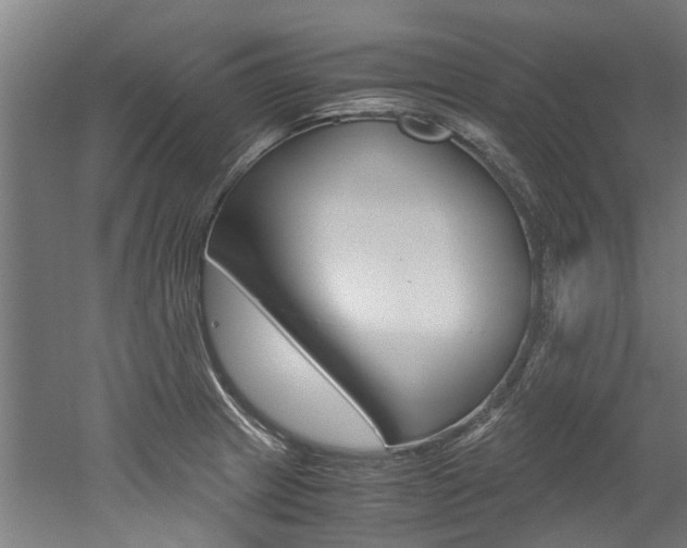 X0000052551233200507010836