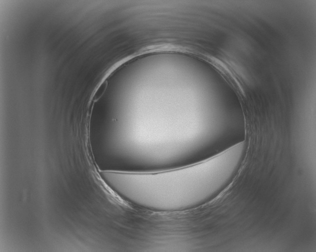 X0000052551244200507010837