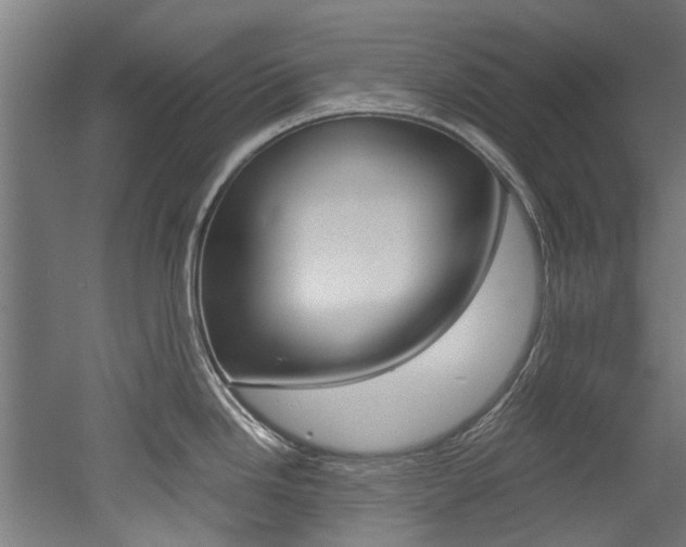 X0000052551246200507010837