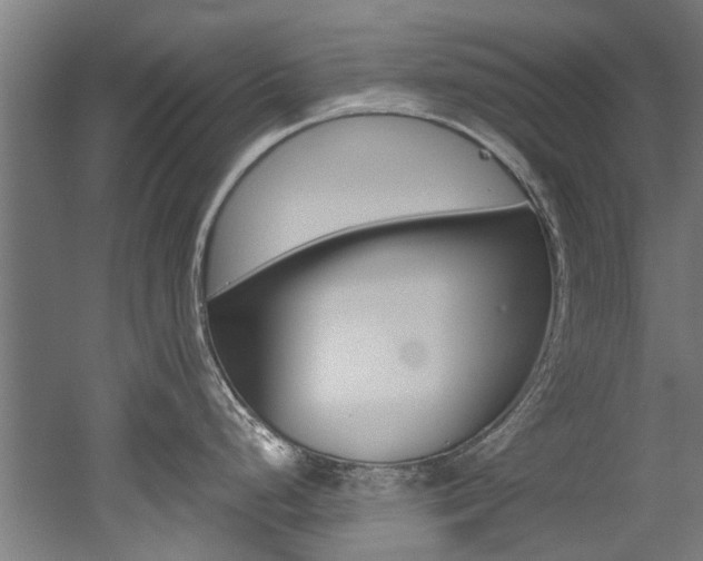 X0000052551248200507010837
