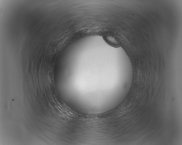 X0000052551250200507010836