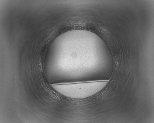 X0000052551252200507010836