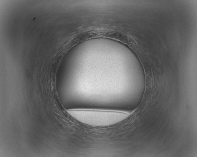 X0000052551253200507010836