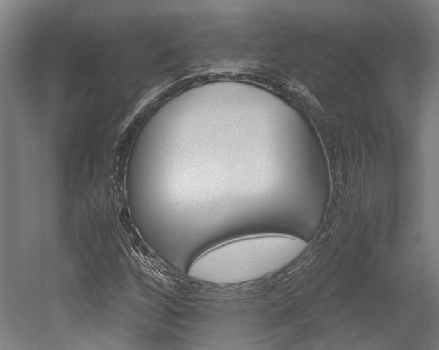 X0000052551256200507010836