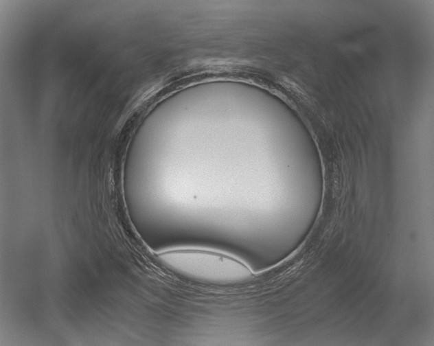 X0000052551261200507010836