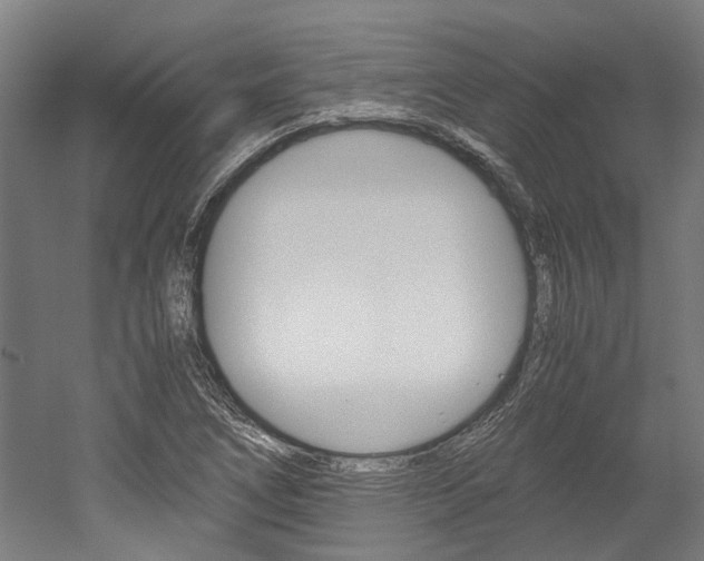 X0000052551266200507010836
