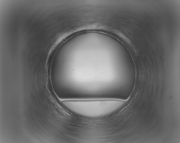 X0000052551270200507010835