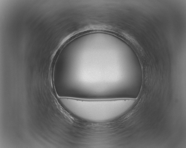 X0000052551272200507010835