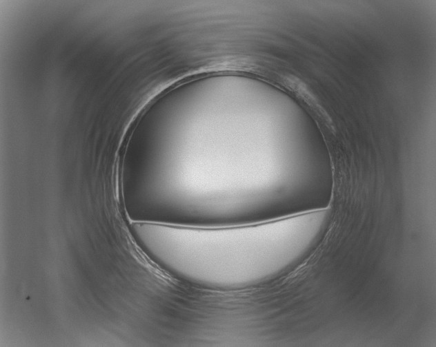 X0000052551276200507010835