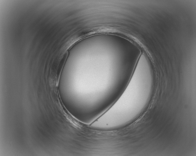 X0000052551281200507010835