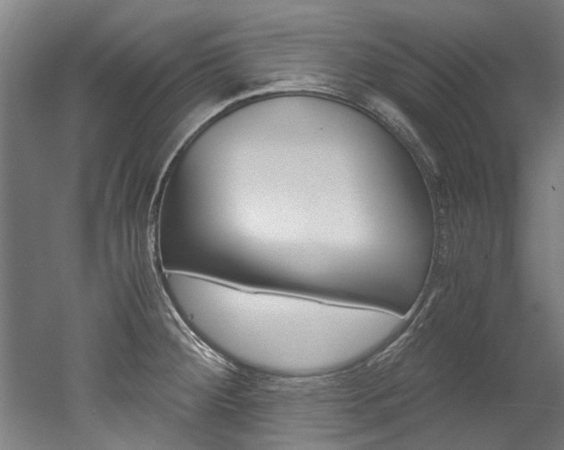 X0000052551284200507010835