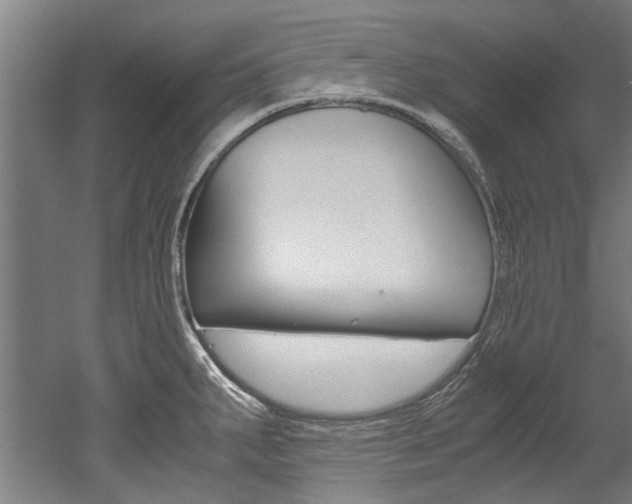 X0000052551287200507010835
