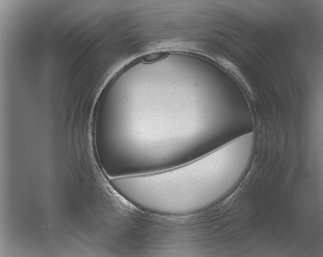 X0000052551288200507010835