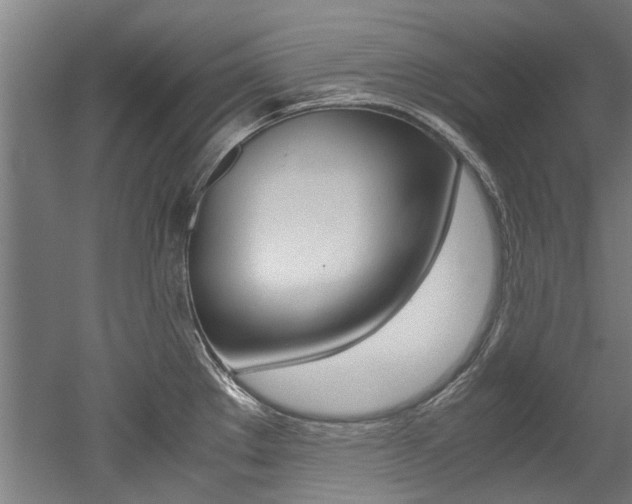 X0000052551289200507010835