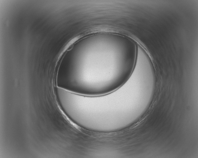 X0000052551293200507010835