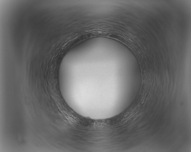 X0000052551297200507010834