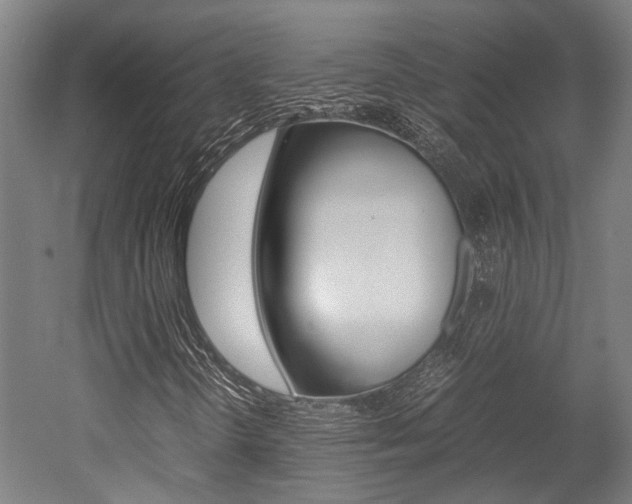X0000052551298200507010834