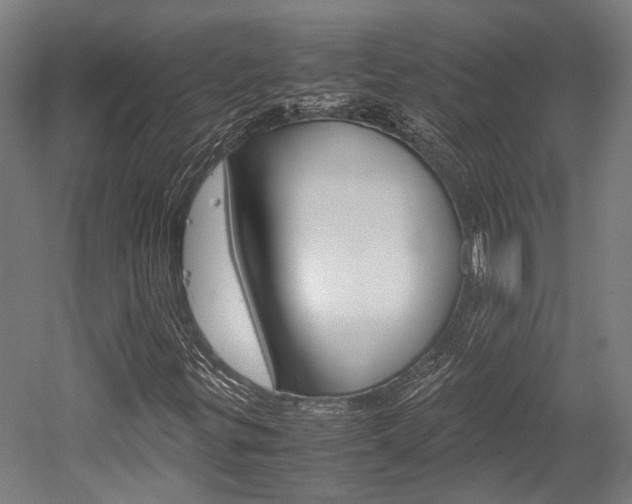 X0000052551299200507010834