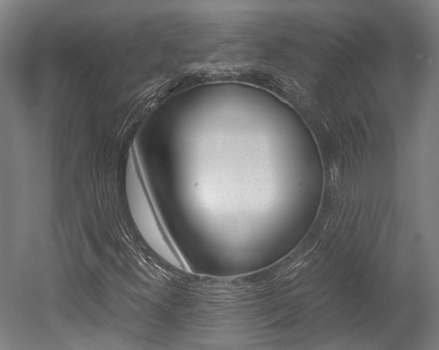 X0000052551300200507010834