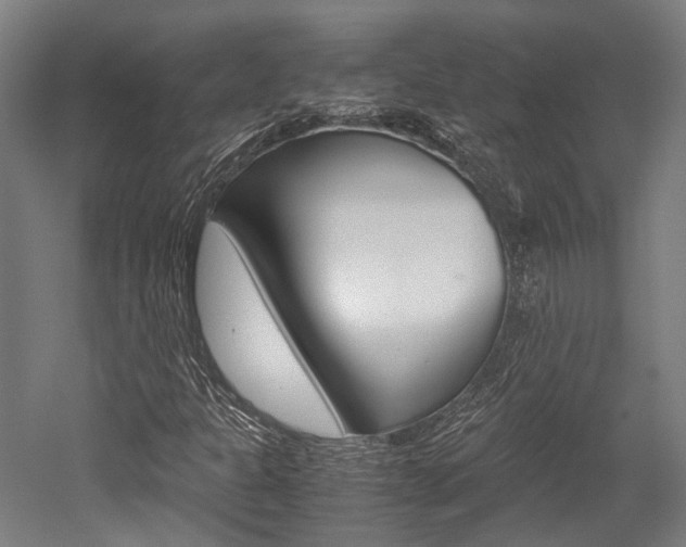 X0000052551301200507010834