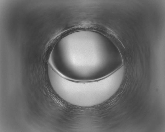 X0000052551304200507010834