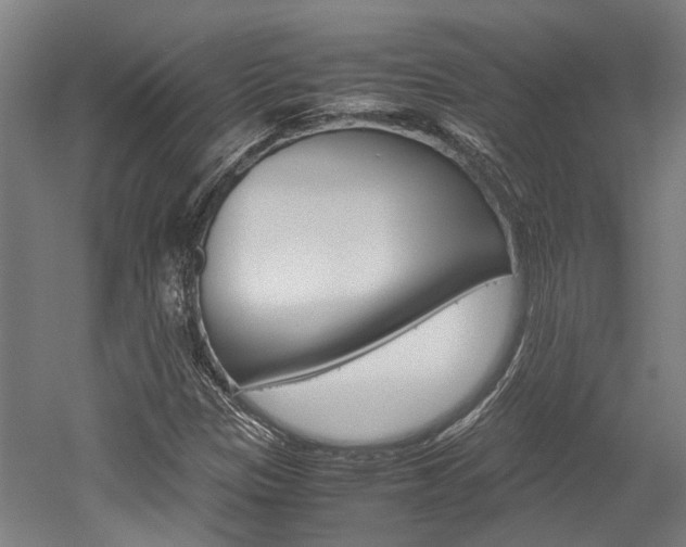 X0000052551305200507010834