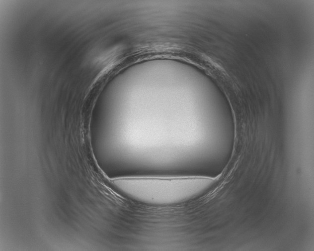 X0000052551306200507010834