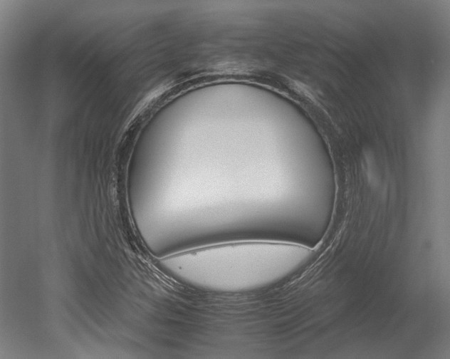 X0000052551307200507010834