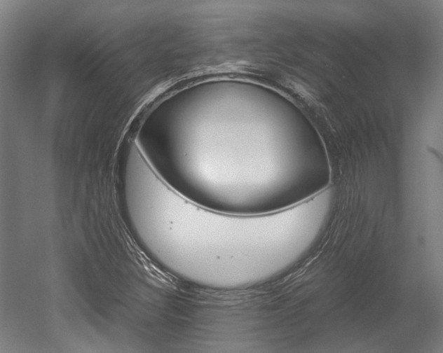 X0000052551308200507010834