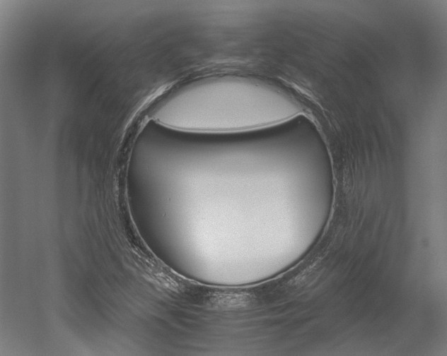 X0000052551309200507010834