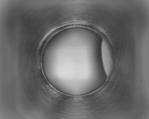 X0000052551310200507010834