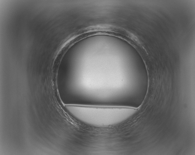X0000052551312200507010834