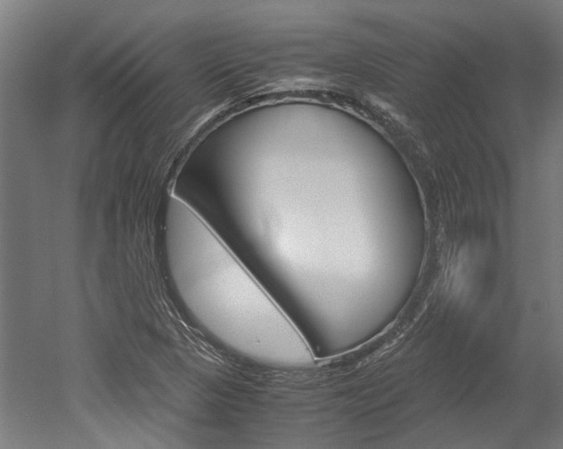 X0000052551313200507010834