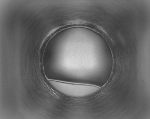 X0000052551315200507010835