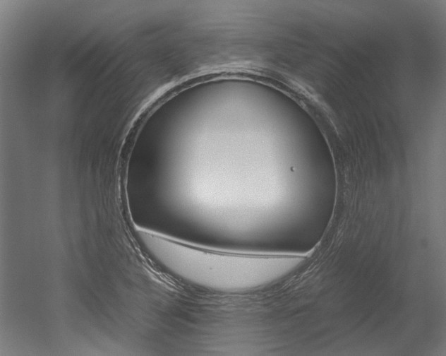 X0000052551316200507010835