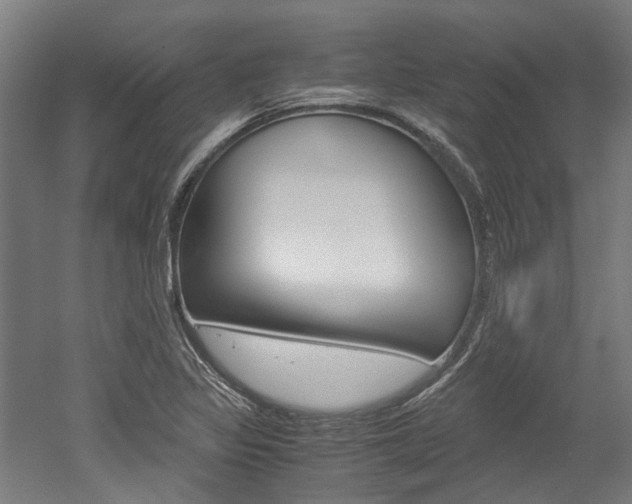 X0000052551317200507010835