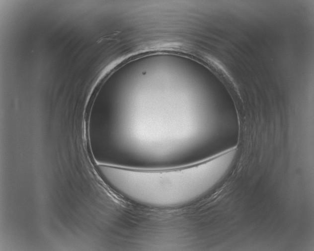 X0000052551324200507010835