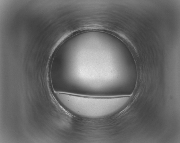 X0000052551325200507010835