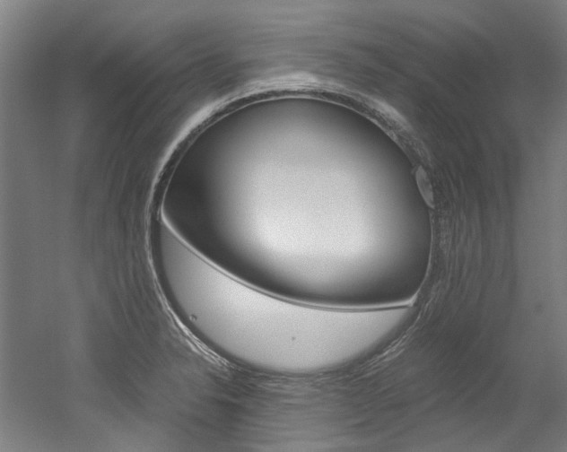 X0000052551326200507010835