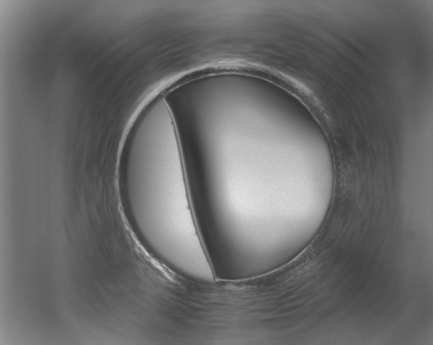 X0000052551327200507010835