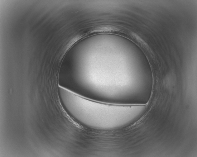 X0000052551329200507010835