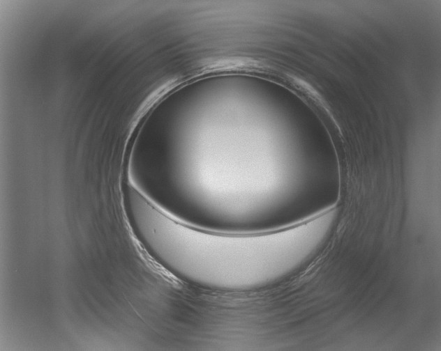 X0000052551330200507010835