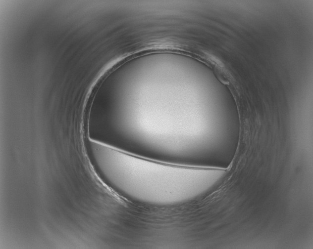 X0000052551331200507010835