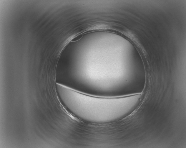 X0000052551337200507010835